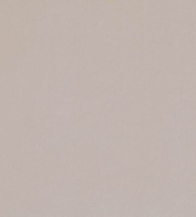 Forenza Fabric by Romo Perlino