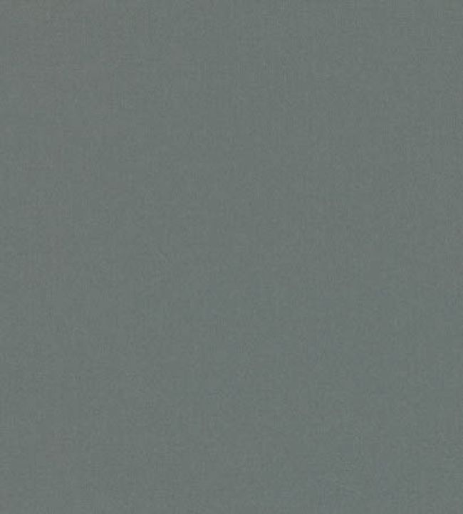 Forenza Fabric by Romo Rosemary