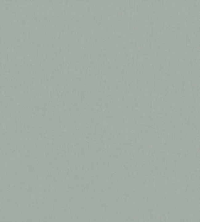 Forenza Fabric by Romo Silver Blue