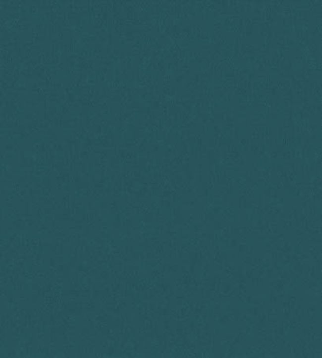 Forenza Fabric by Romo Tapestry