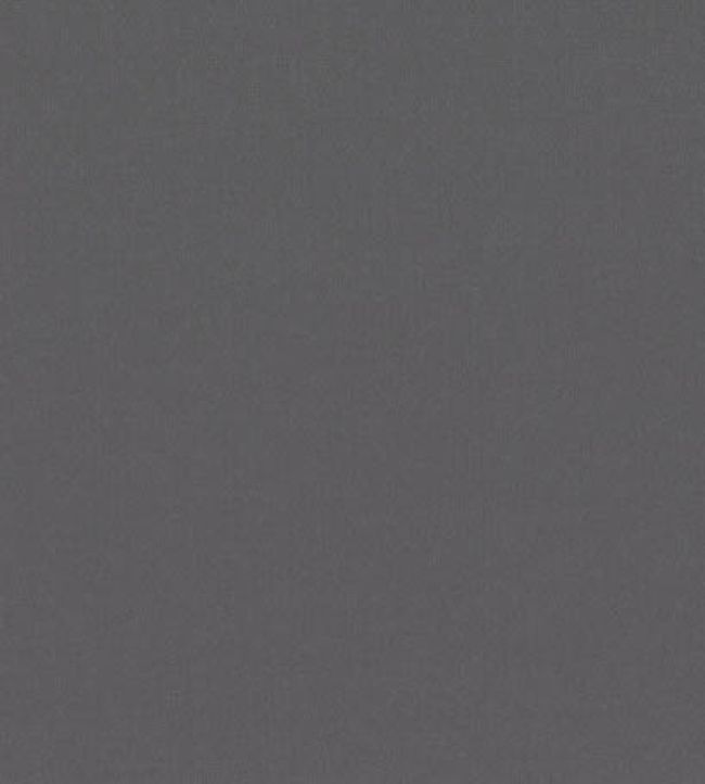 Forenza Fabric by Romo Thunder