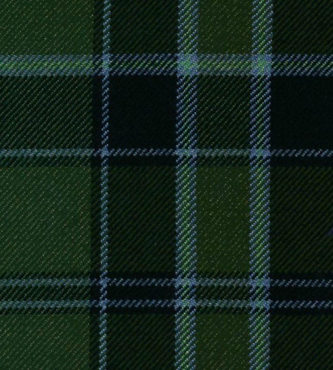Fort William Mtd Fabric by The Isle Mill Green