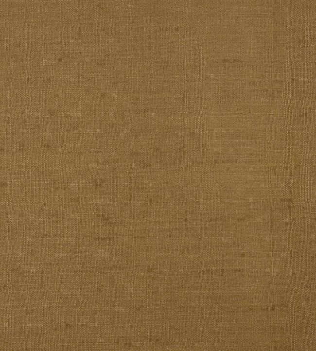 Forum Fabric by Lizzo Tan
