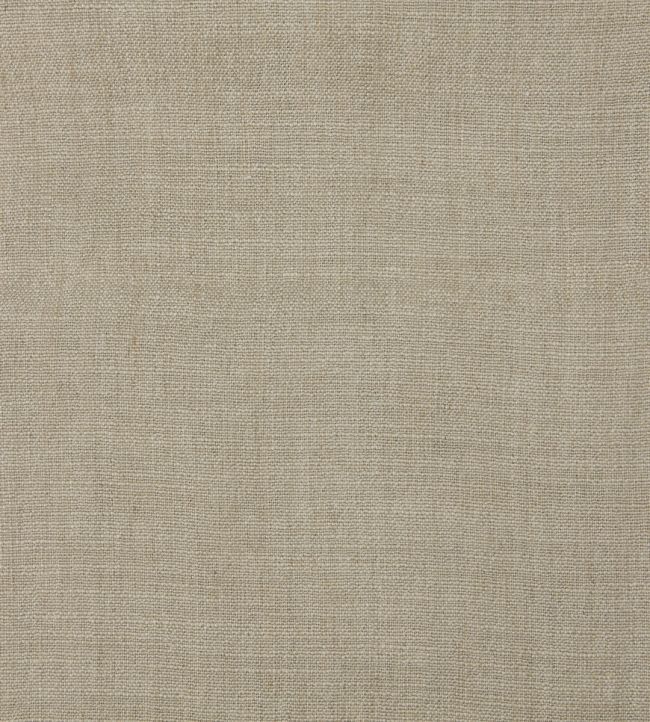Forum Fabric by Lizzo Flax