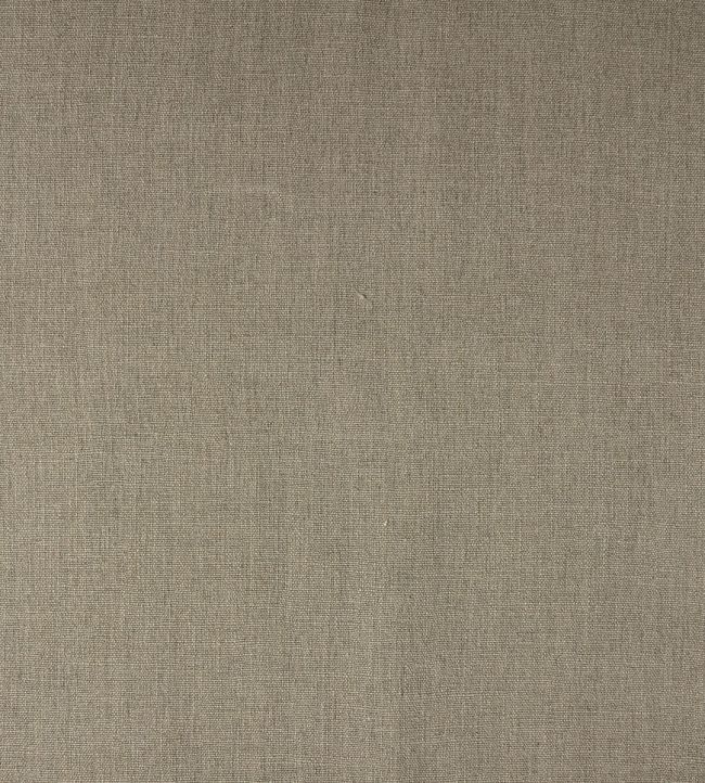 Forum Fabric by Lizzo Bark