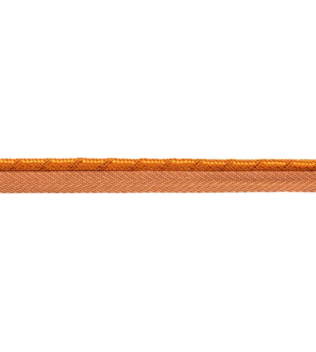 Francoise Cord with Tape Trimming by Samuel & sons Apricot