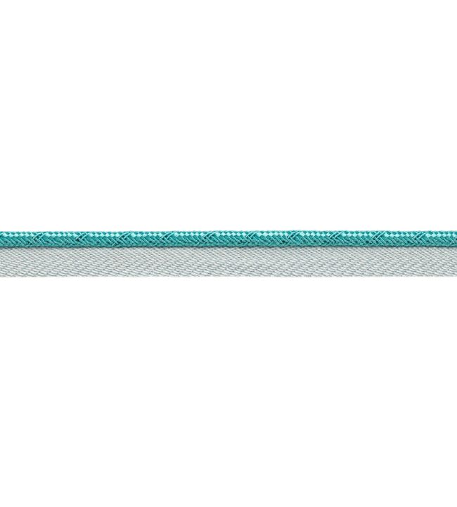Francoise Cord with Tape Trimming by Samuel & sons Capri