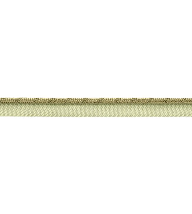 Francoise Cord with Tape Trimming by Samuel & sons Celadon