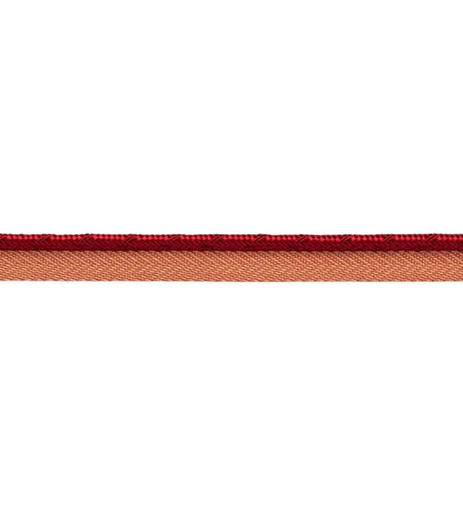 Francoise Cord with Tape Trimming by Samuel & sons Currant
