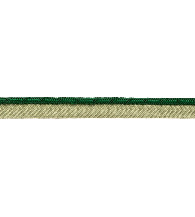Francoise Cord with Tape Trimming by Samuel & sons Emerald