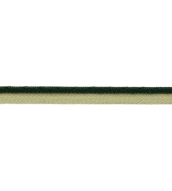 Francoise Cord with Tape Trimming by Samuel & sons Forest