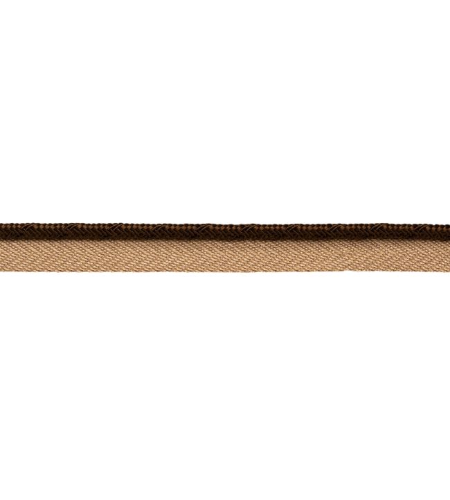 Francoise Cord with Tape Trimming by Samuel & sons Mink