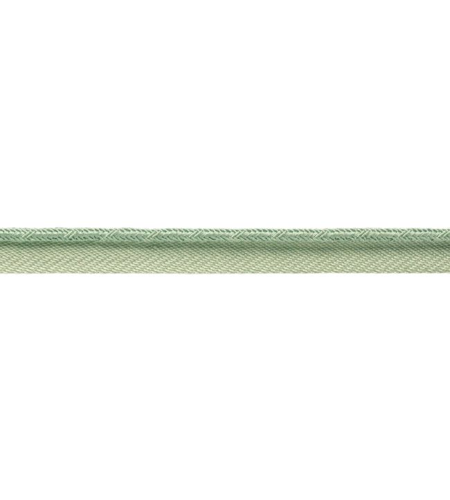 Francoise Cord with Tape Trimming by Samuel & sons Mint
