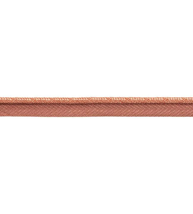 Francoise Cord with Tape Trimming by Samuel & sons Salmon