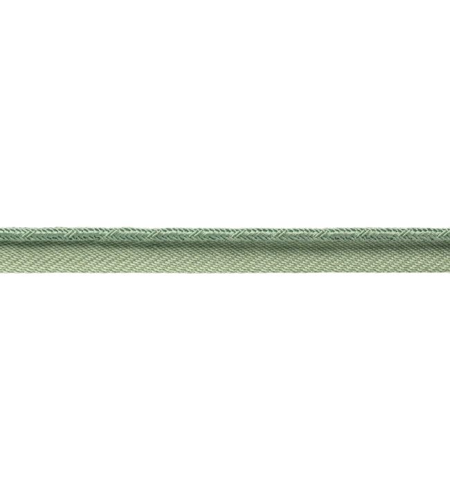 Francoise Cord with Tape Trimming by Samuel & sons Willow