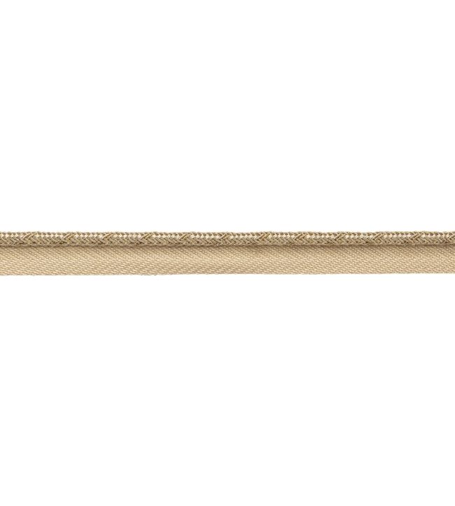 Francoise Metallic Cord with Tape Trimming by Samuel & sons White gold