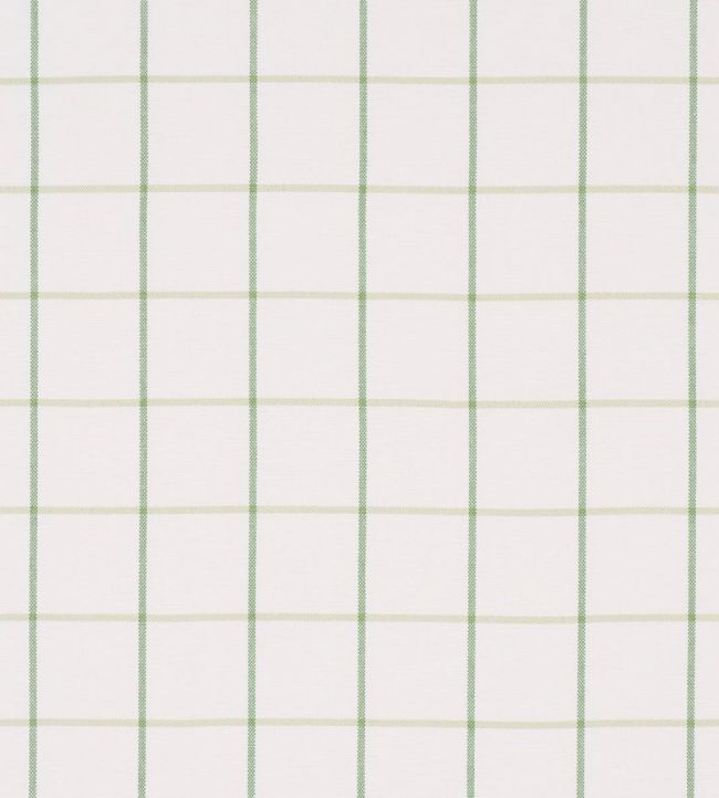 Frannie Windowpane Fabric by Schumacher Leaf Green