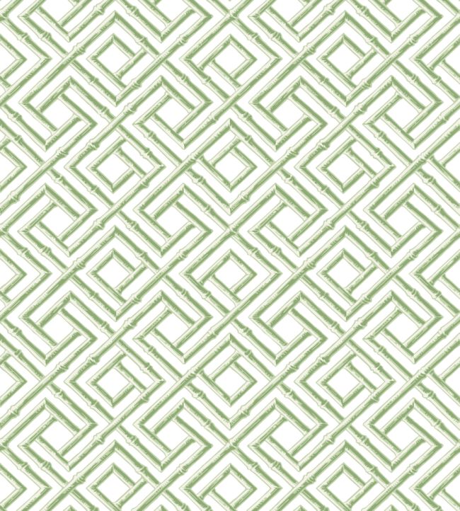 French Lattice Wallpaper by Thibaut Green