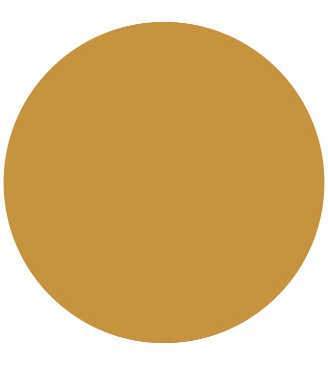 French Ochre 1829 Eggshell Paint by Craig & Rose French Ochre