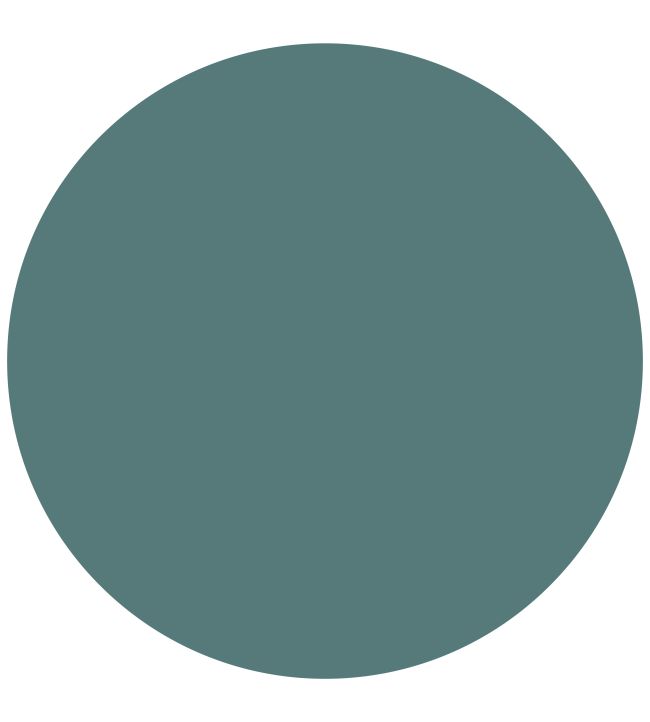 French Turquoise 1829 Eggshell Paint by Craig & Rose French Turquoise
