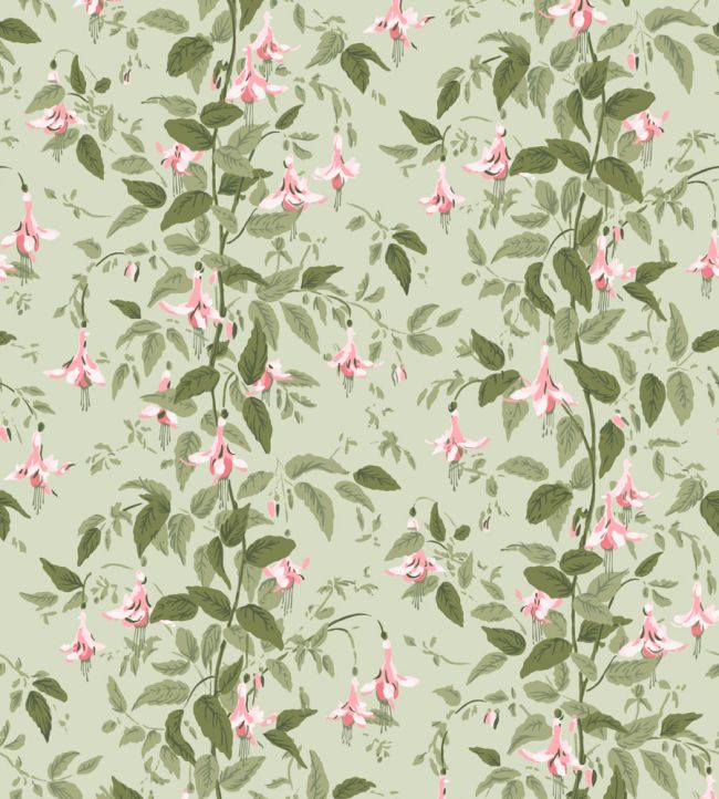 Fuchsia Wallpaper by Cole & Son Powder Pink & Olive on Soft Spring Green