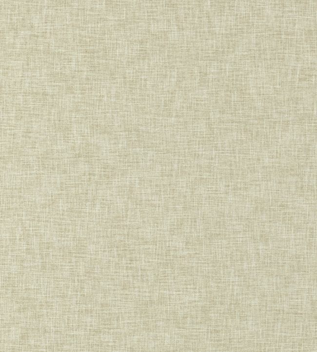 Gaia Fabric by Clarke & Clarke Flax