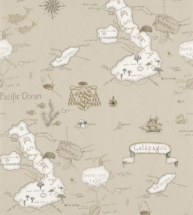 Galapagos Wallpaper by Sanderson Pewter