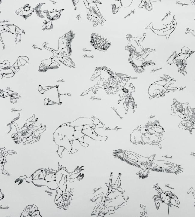 Galileo Fabric by Casal Jour