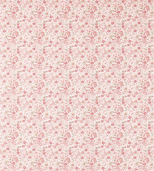 Gamthi Fabric by Clarke & Clarke Blush