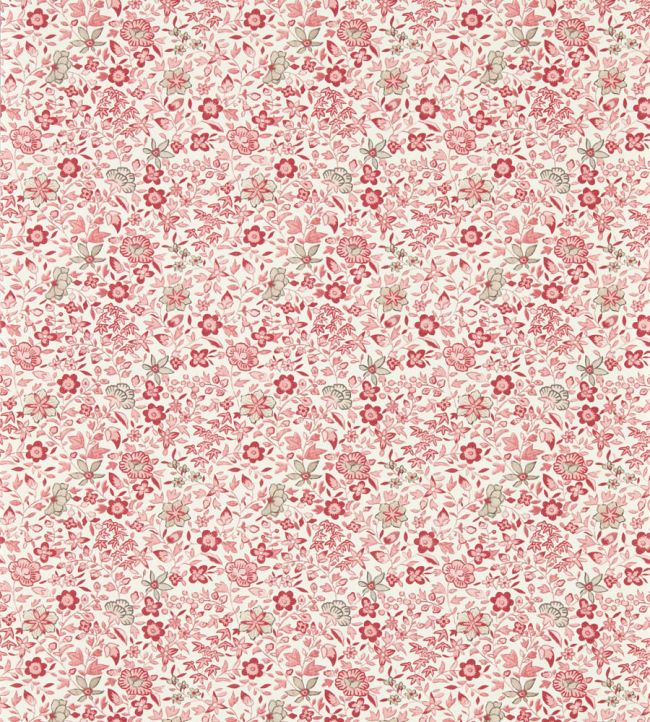 Gamthi Wallpaper by Clarke & Clarke Blush