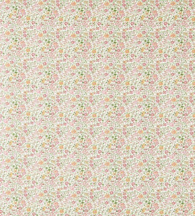 Gamthi Fabric by Clarke & Clarke Sage/Blush