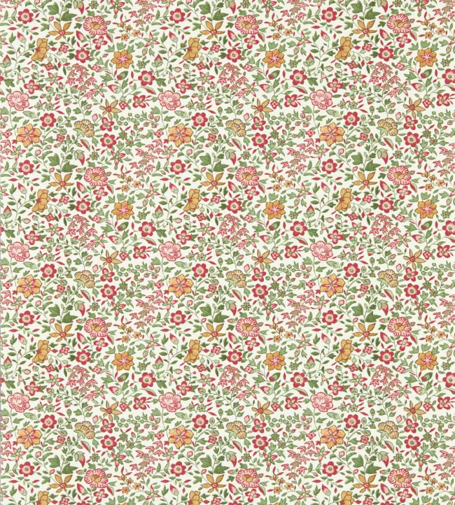 Gamthi Wallpaper by Clarke & Clarke Sage/Blush