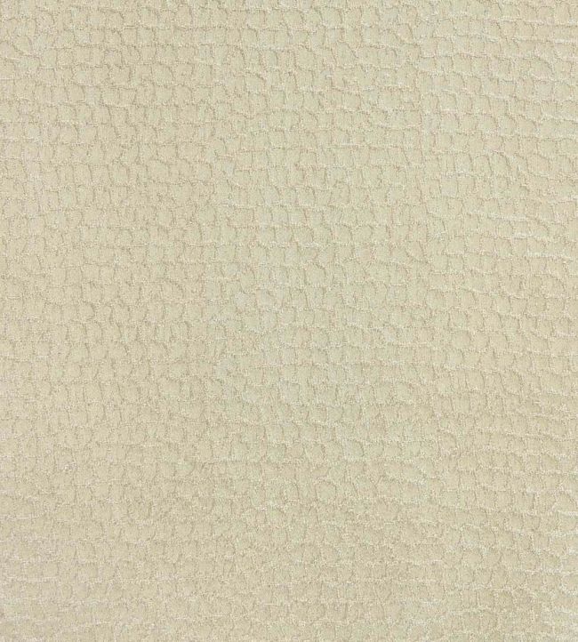 Gaudi Fabric by Lizzo Neutral