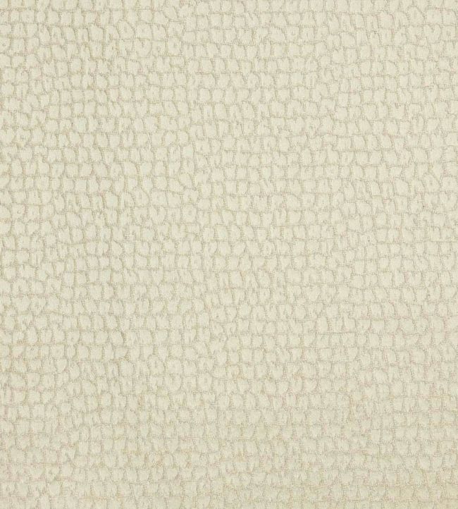 Gaudi Fabric by Lizzo Ecru