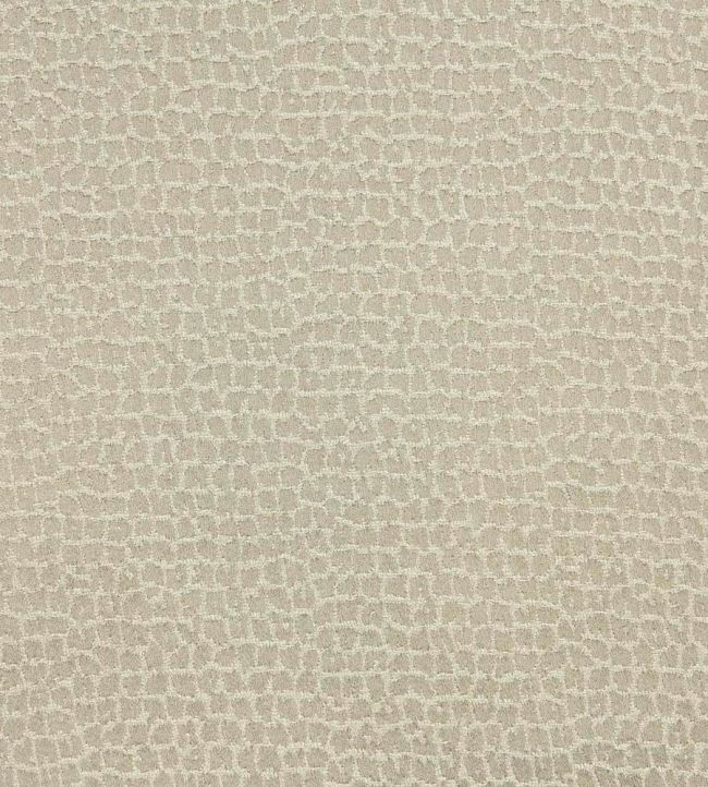 Gaudi Fabric by Lizzo Beige
