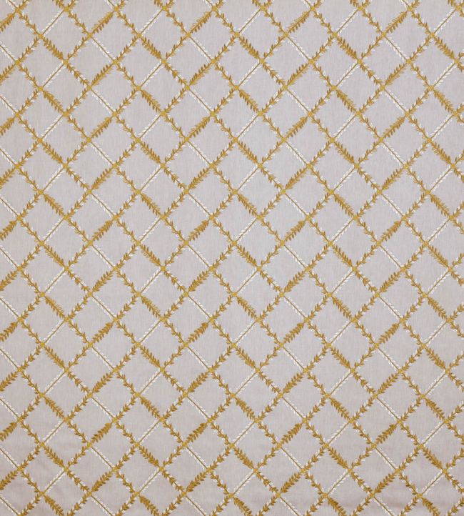 Gianna Fabric by Prestigious Textiles Antique
