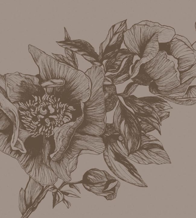 Giant Peonies Mural by Coordonne Cacao
