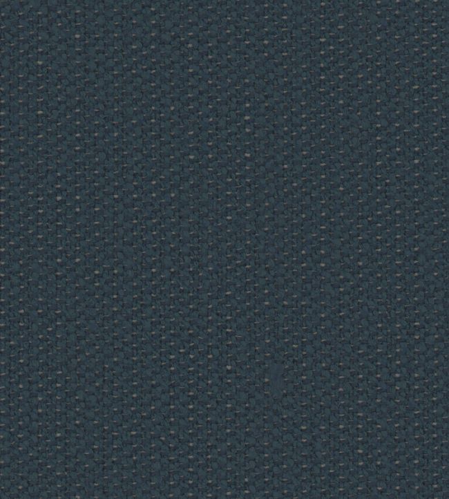 Glade Fabric by Zimmer + Rohde Denim