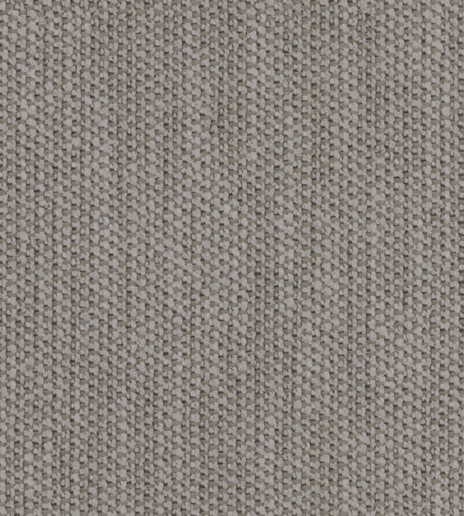 Glade Fabric by Zimmer + Rohde Grey