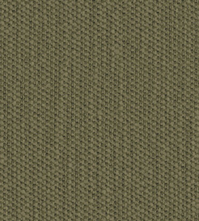 Glade Fabric by Zimmer + Rohde Leaf
