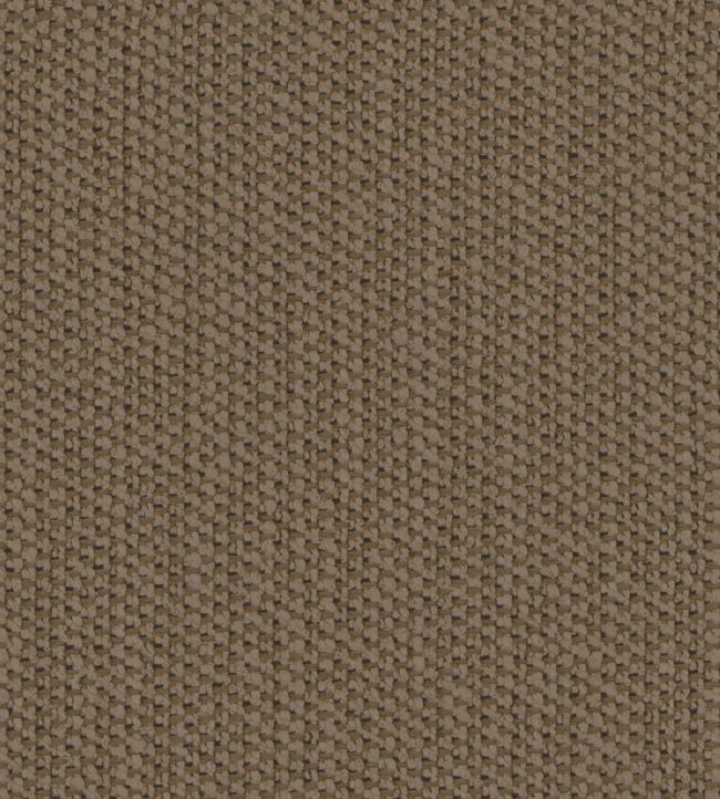 Glade Fabric by Zimmer + Rohde Mocha