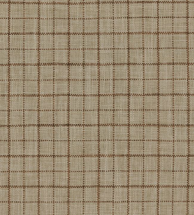 Goteberg Fabric by Warwick Fired Earth