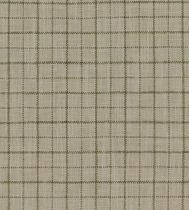 Goteberg Fabric by Warwick Lichen