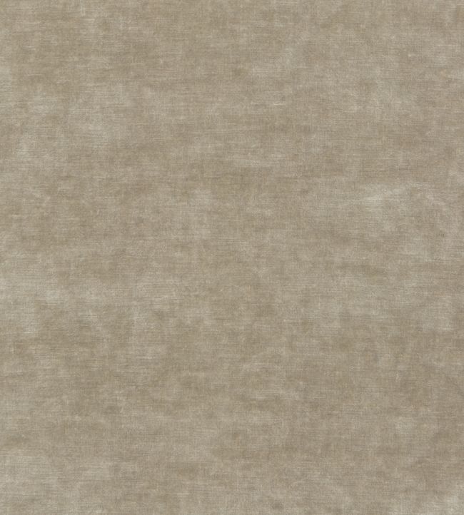Kings Velvet Fabric by GP & J Baker Parchment