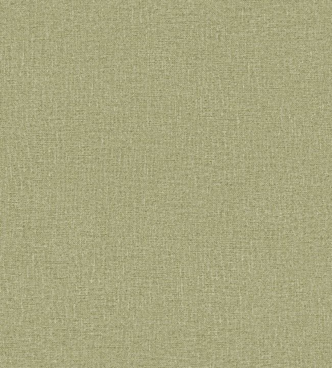Graffiti Plain Wallpaper by Missoni Green