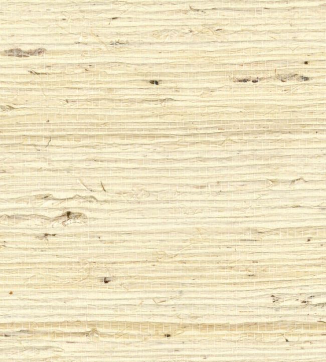 Grasscloth Wallpaper by Elitis Parfum de lumiere