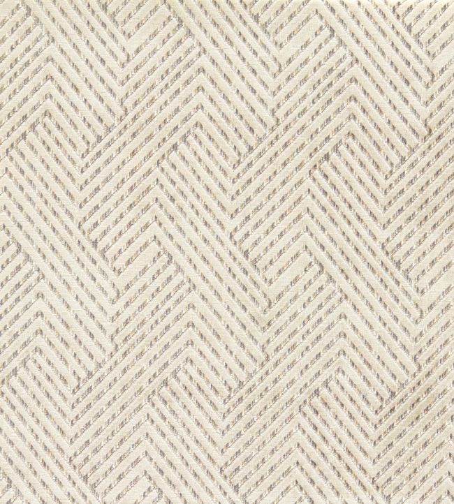 Grassetto Fabric by Clarke & Clarke Ivory