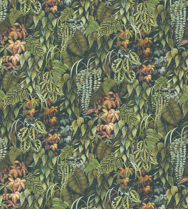 Green Wall Wallpaper by Osborne & Little 2