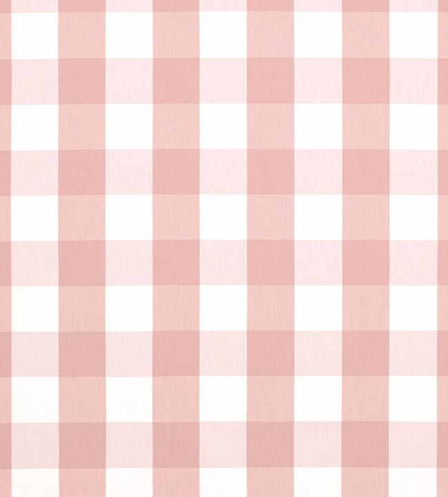 Hammond Check Fabric by Anna French Rose