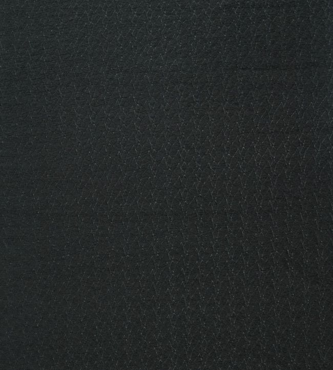 Tectrix Fabric by Harlequin Jet